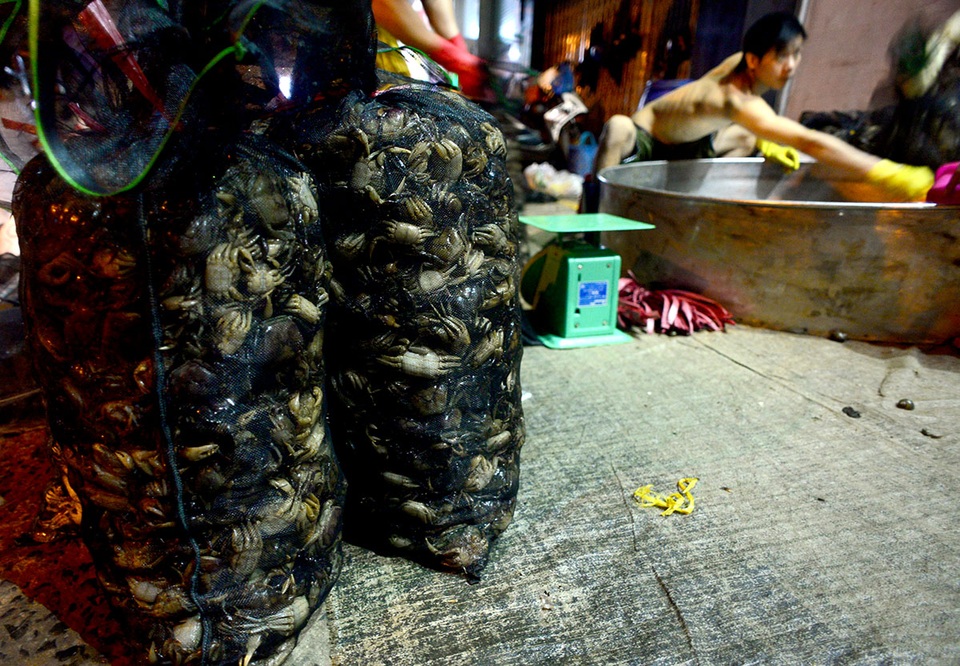 Chợ cua "âm phủ" có tuổi đời gần nửa thế kỷ ở Sài Gòn - 8
Chợ cua hoạt động trên vỉa hè từ 2h đến 5h sáng, sau đó các tiểu thương quét dọn sạch sẽ vỉa hè để trả lại mặt bằng.