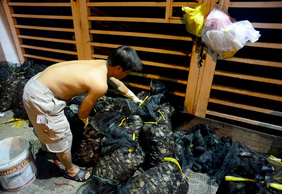 Chợ cua "âm phủ" có tuổi đời gần nửa thế kỷ ở Sài Gòn - 7 Cua được lấy chủ yếu từ miền Tây như An Giang, Đồng Tháp, Cà Mau...