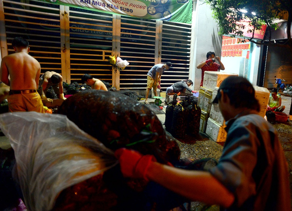 Chợ cua "âm phủ" có tuổi đời gần nửa thế kỷ ở Sài Gòn - 6 Cua sống sẽ được đóng vào bao lưới giao cho nhà hàng, quán nhậu, quán ăn...