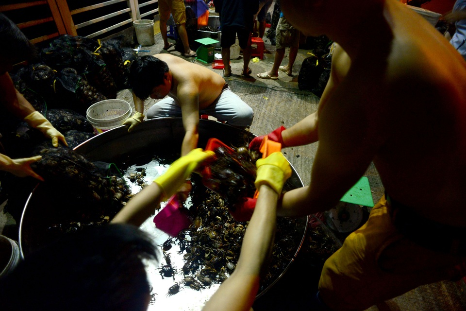 Chợ cua "âm phủ" có tuổi đời gần nửa thế kỷ ở Sài Gòn - 2
Chợ cua hình thành trước năm 1975