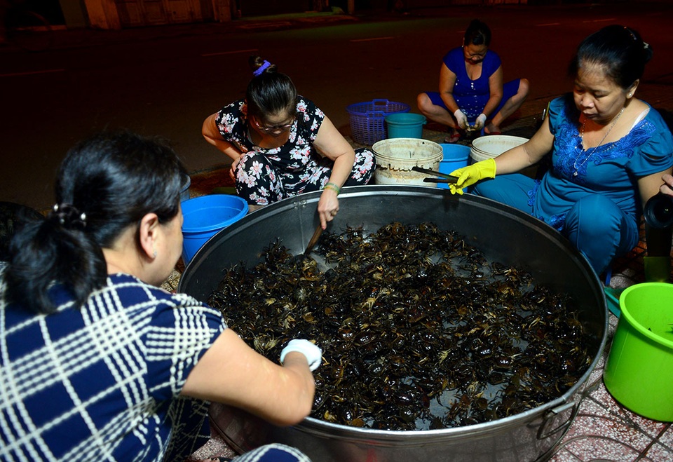 Chợ cua "âm phủ" có tuổi đời gần nửa thế kỷ ở Sài Gòn - 11 Gia đình bà Mỹ, 60 tuổi đã gắn bó với nghề từ trước năm 1975. Mỗi đêm, bà Mỹ cùng các em gái phân loại khoảng 10 bao cua giao cho khách.