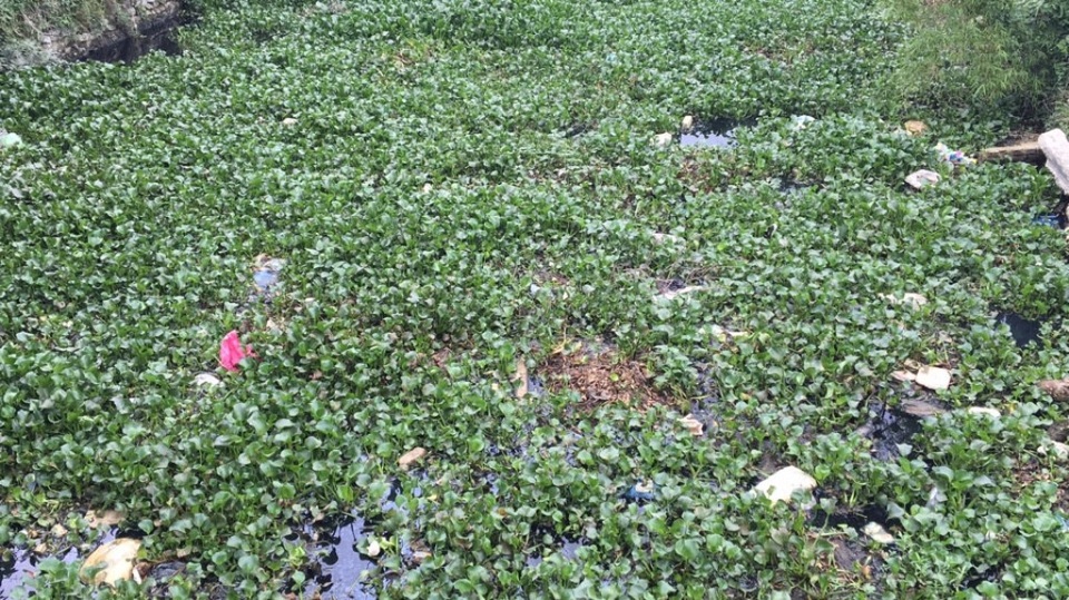 
Nước sông ô nhiễm nặng.
