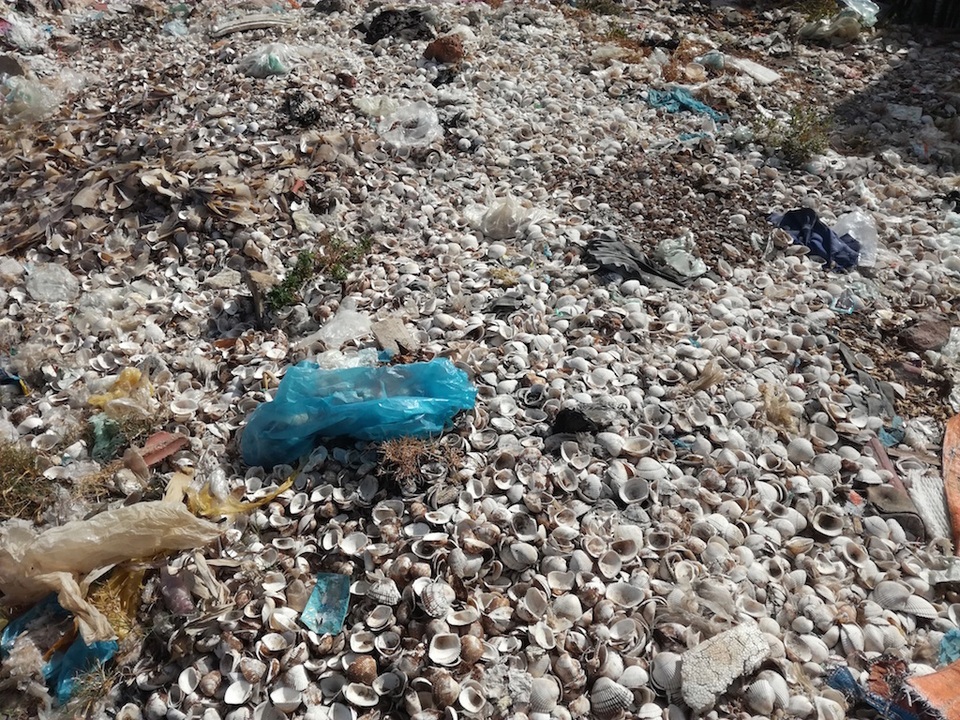 Vỏ hàu, nghêu... đủ loại bao vây chợ và xóm làng.