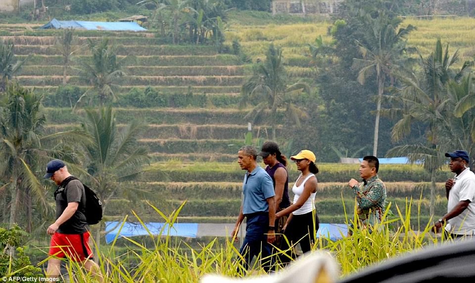 Gia đình ông Obama “du ngoạn” trên cánh đồng lúa ở Indonesia - 1 Cựu Tổng thống Barack Obama (áo xanh) cùng phu nhân Michelle (mũ đen) và con gái Sasha (mũ vàng) đi bộ qua cánh đồng lúa ở Bali, Indonesia (Ảnh: AFP)