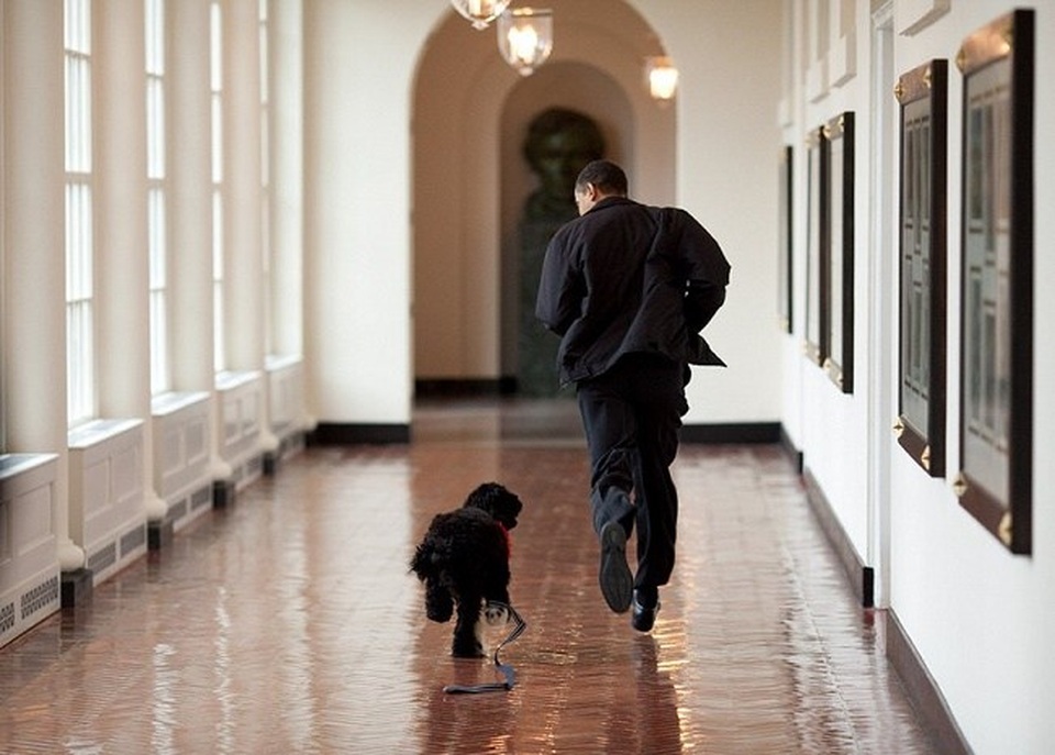 12 bức ảnh khó quên nhất trong nhiệm kỳ của ông Obama - 6 12 bức ảnh khó quên nhất trong nhiệm kỳ của ông Obama - 6