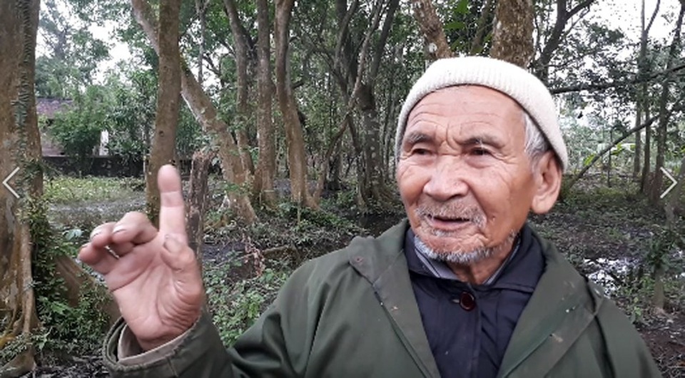 Cận cảnh “rừng” si cổ độc đáo được lưu giữ trong ngôi đền linh thiêng - 9 Theo cụ Trần Văn Sáng, 86 tuổi, người đã chứng kiến nhiều thăng trầm của ngôi đền thiêng cho biết, rừng si trong đền phải đến hàng trăm năm tuổi. Trước đây rừng si cây cối rậm rạp hơn nhiều, là nơi trú ngụ của không chỉ là chim muông mà còn có cả khỉ, cáo, trăn... Trong chiến tranh, có những cây si cao lớn được bộ đội chọn, trèo lên làm theo dõi máy bay địch. Là người gắn bó với rừng si từ nhỏ, cụ Sáng luôn mong chính quyền, người dân làm hết sức để bảo vệ báu vật quý này cho con cháu đời sau.