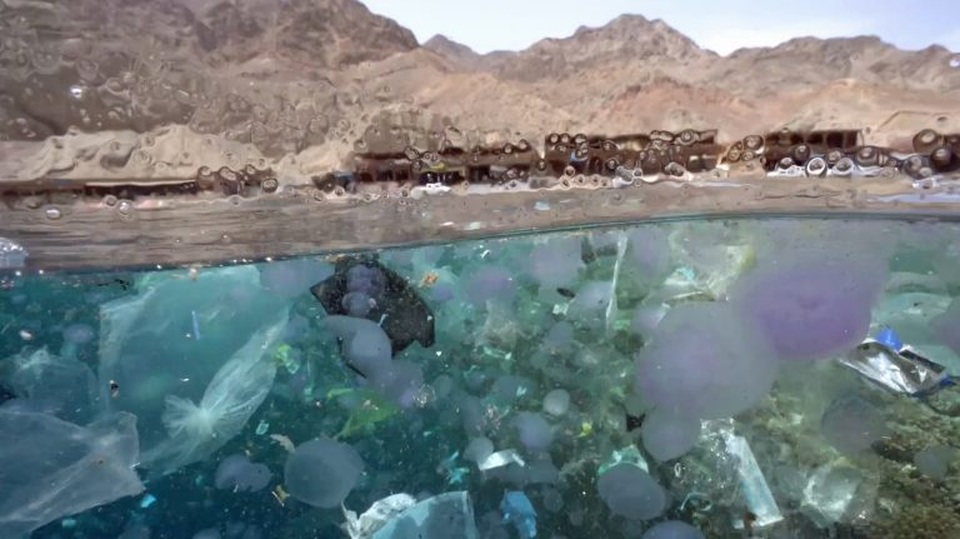 Trải nghiệm bơi trong đại dương rác và lời cảnh tỉnh về ý thức của con người - 2