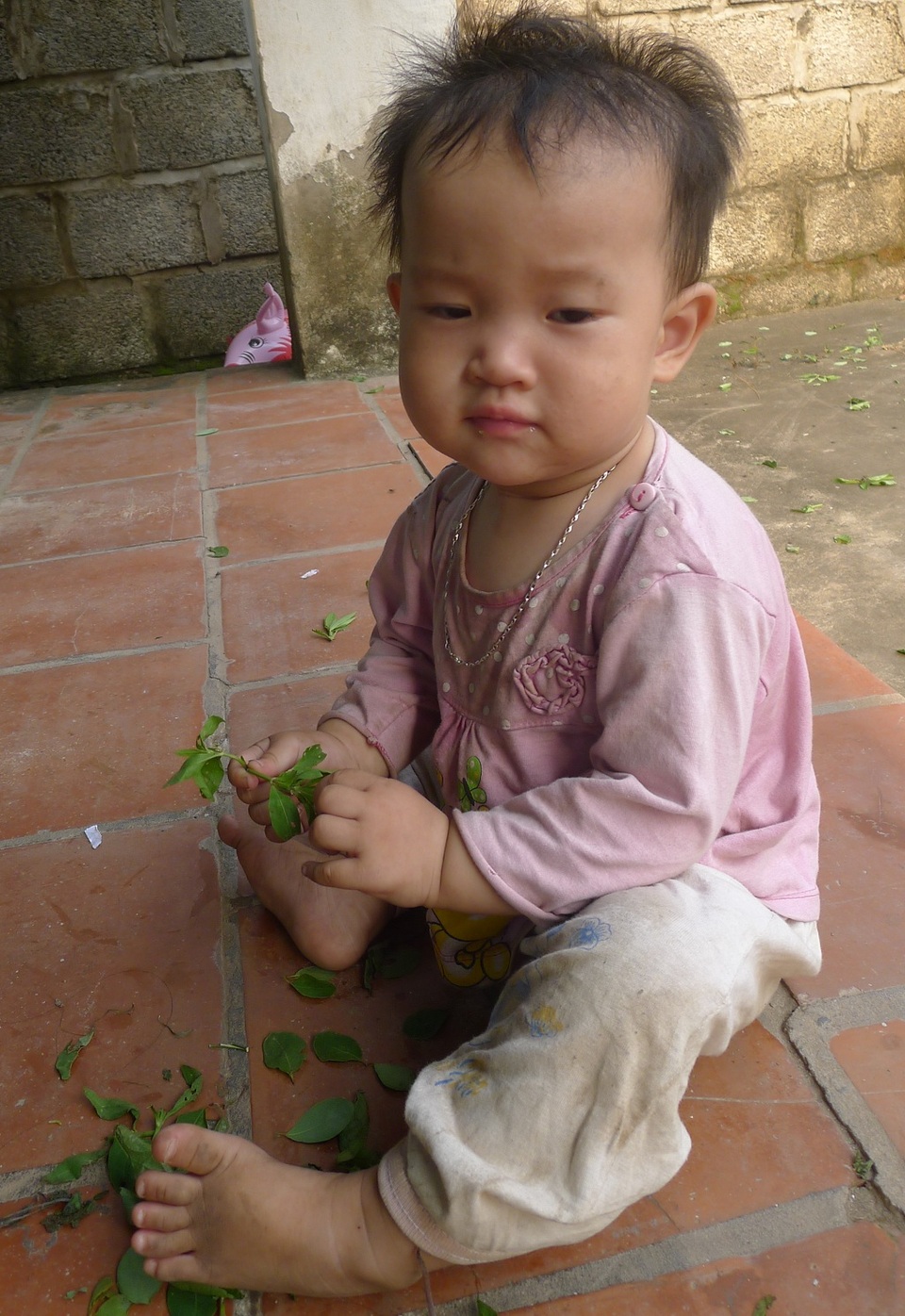 Quặn lòng mẹ bị ung thư giai đoạn cuối ôm con 10 tháng tuổi khóc lả vì khát sữa - 10 Hình ảnh bé Mai cứ tha thẩn nhặt lá ăn... khiến chúng tôi bị ám ảnh.