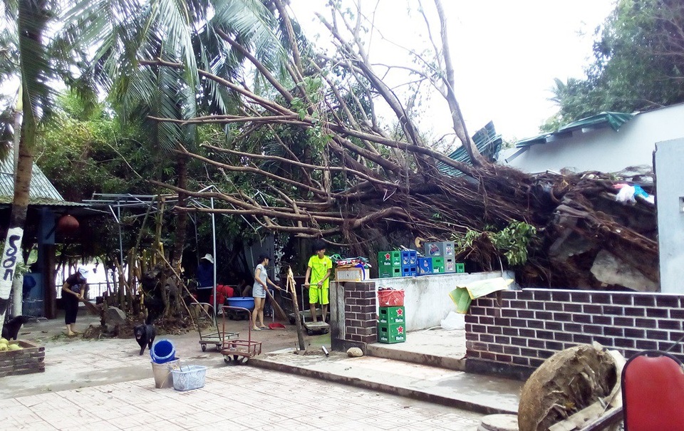 Khánh Hòa “oằn mình” sau bão, 23 người tử vong! - 2 Khánh Hòa “oằn mình” sau bão, 23 người tử vong! - 2