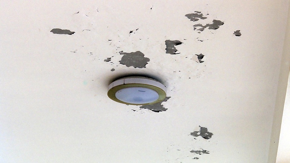 Trần nhà trưng bày bong tróc…