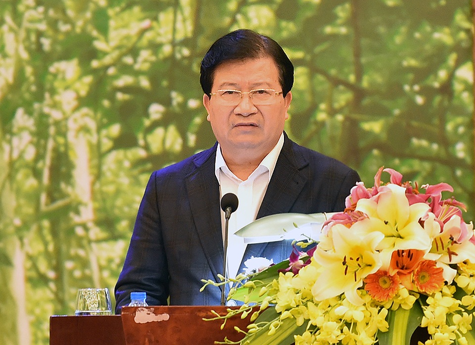 Phó Thủ tướng: Tăng cường hợp tác quốc tế để quản lý rừng bền vững - 1 Phó Thủ tướng: Cần giao công tác bảo vệ, phát triển rừng cho doanh nghiệp và người dân, đảm bảo tất cả diện tích rừng có chủ quản lý cụ thể.