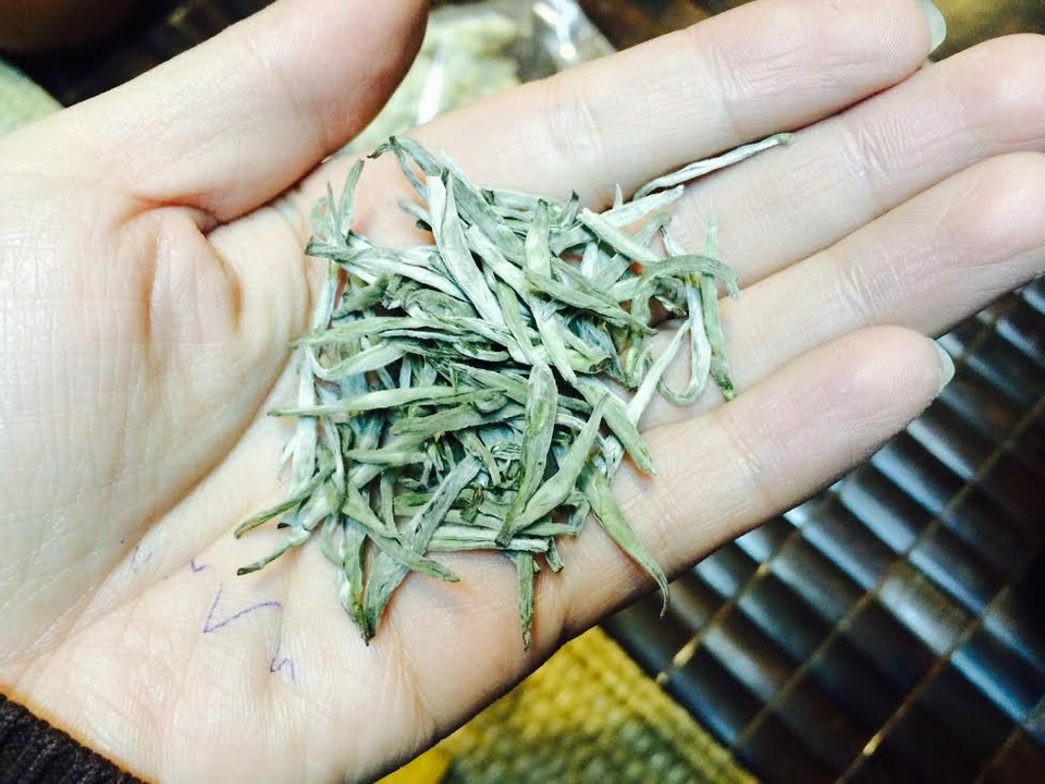 Đại gia Hà Thành chi 100 triệu đồng mua Bạch trà ngàn năm thưởng tết - 1
Bạch trà được hái từ những cây chè cổ thụ trên đỉnh núi Tây Côn Lĩnh