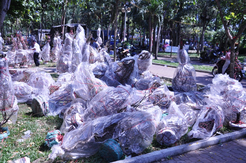 Cuối ngày 30 Tết, hoa, cây cảnh đồng loạt “xả hàng” - 1 Cuối ngày 30 Tết, hoa, cây cảnh đồng loạt “xả hàng” - 1