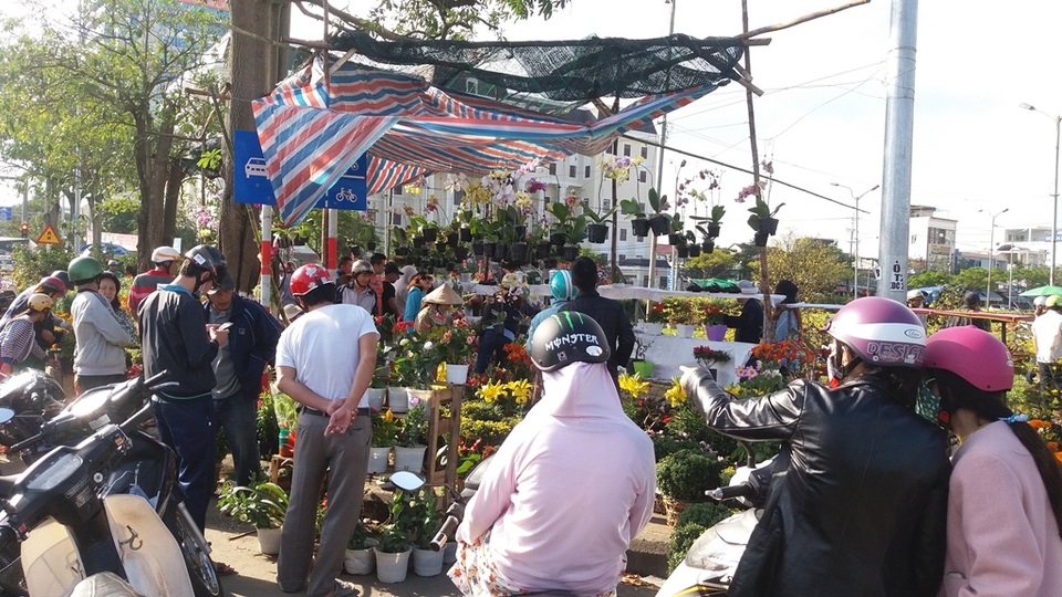 Cuối ngày 30 Tết, hoa, cây cảnh đồng loạt “xả hàng” - 23 Chợ hoa chiều 30 Tết nhộn nhịp hẳn nhờ nắng lên