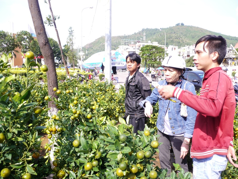 Hoa, kiểng ế ẩm, đồng loạt “xả hàng” chiều 30 Tết - 7 
Chiều 30 Tết nhưng không khi mua bán ở chợ hoa Tết Quy Nhơn (Bình Định) vẫn ảm đạm