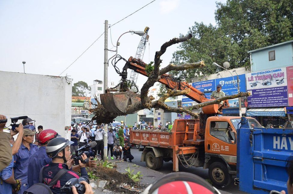 
Bứng cây trước văn phòng phía nam - Bộ Công Thương
