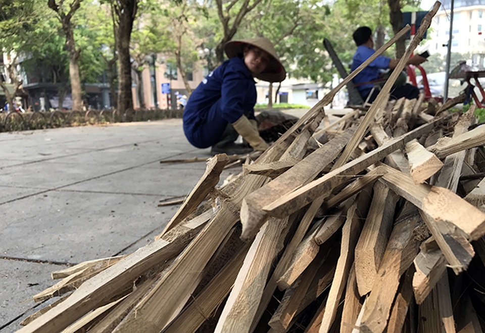 Hà Nội: Tháo dỡ ngay hàng chông tre nguy hiểm ở vườn hoa - 4
Trưa nay, các công nhân đã thu dọn chông tre ở vườn hoa 19/8