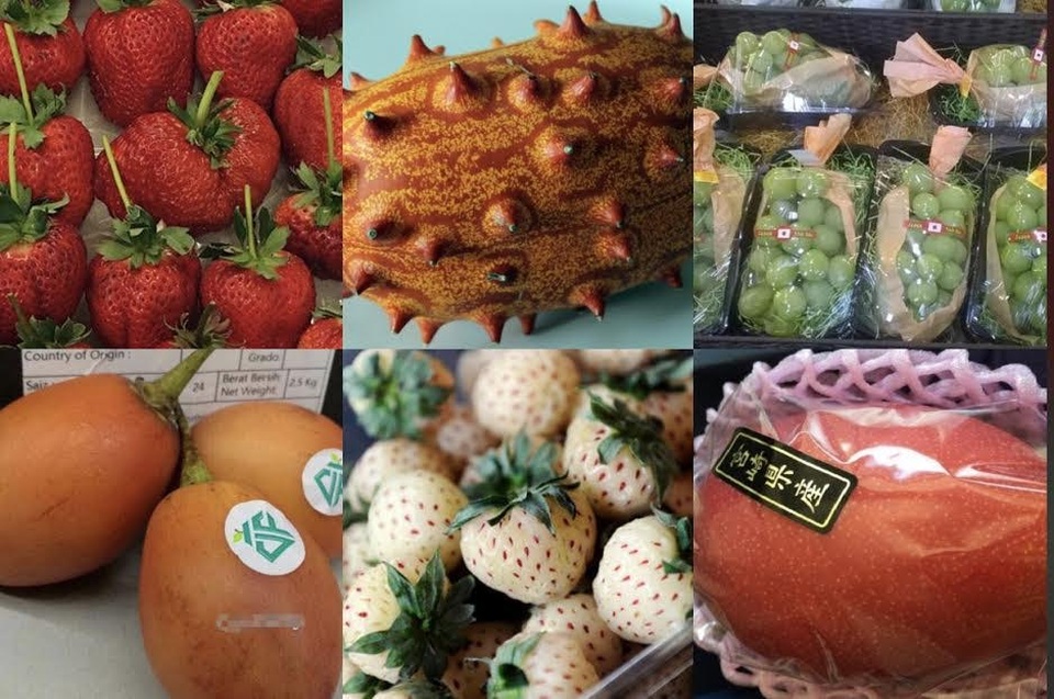 
Các loại hoa quả nhập khẩu có giá từ 1-4 triệu đồng/kg được bán tràn ngập trên thị trường
