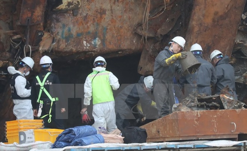 Nghi phạm liên quan vụ chìm phà Sewol bị dẫn độ từ Pháp về Hàn Quốc - 1 Đội tìm kiếm làm nhiệm vụ bên trong phà Sewol tại cảng Mokpo ngày 13/5. (Nguồn: EPA/TTXVN)