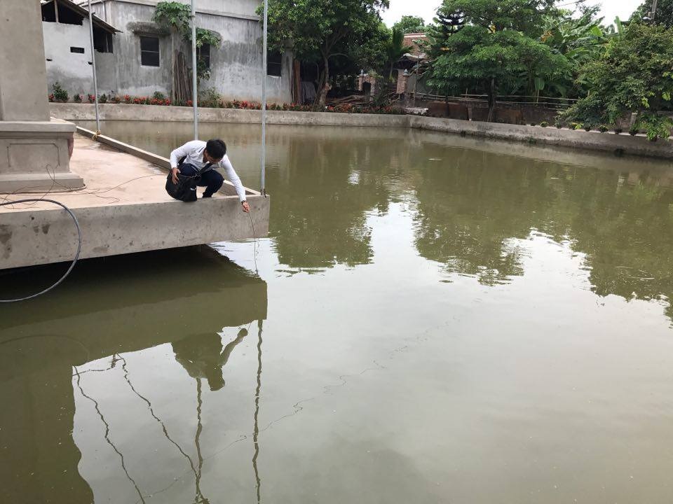 Vụ 4 người chết ở ao làng: Vợ nghĩ chồng đưa cháu đi cấp cứu - 1 Khu vực ao làng nơi các nạn nhân tử vong mực nước chỉ khoảng 1m