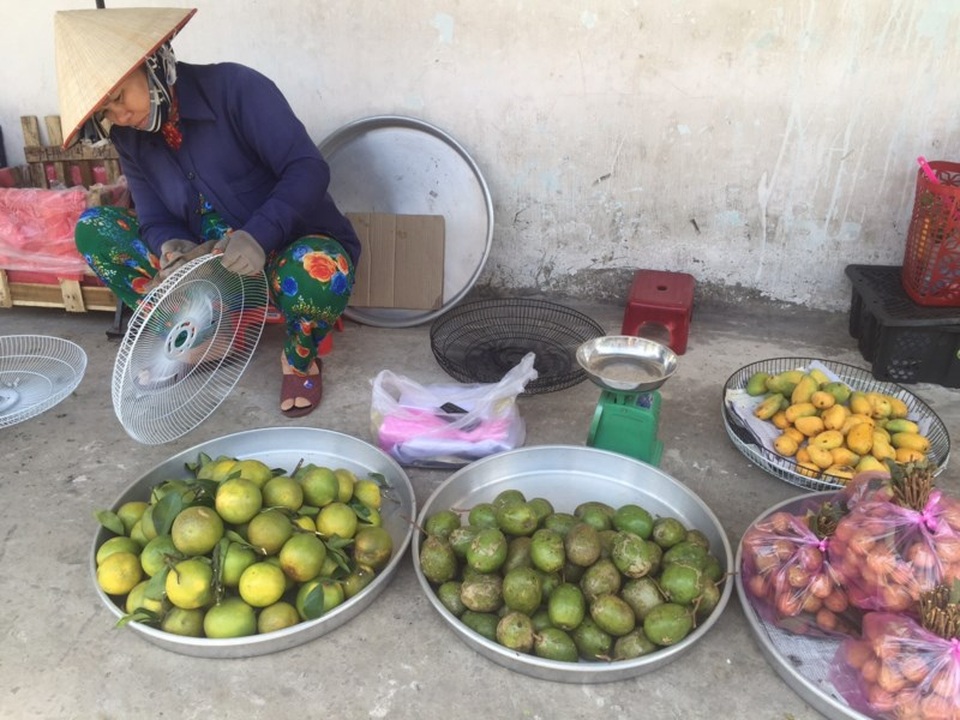 Xoài tí hon Trung Quốc tràn vào Việt Nam - 1
Người bán cho biết xoài mút được thu mua từ Châu Đốc (An Giang).