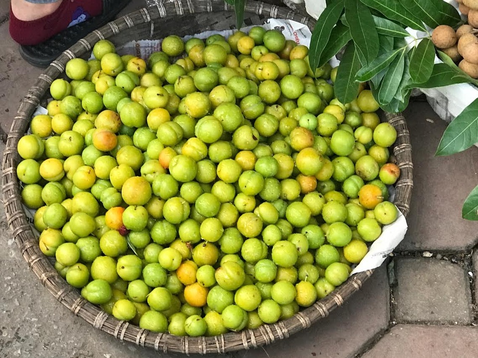 Mới đầu mùa, dân Việt ăn hơn 7.000 tấn mận Trung Quốc - 1
Mận cơm đường Trung Quốc đang xuất hiện tràn ngập chợ