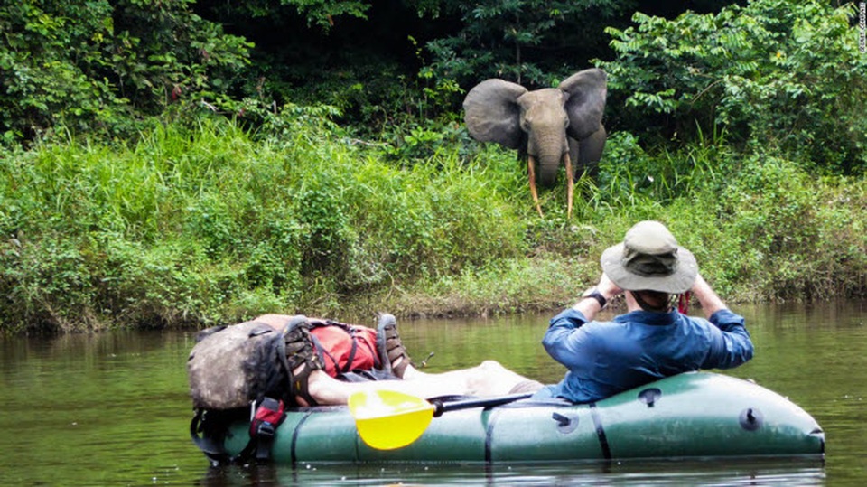 Những tour khám phá động vật hoang dã hấp dẫn nhất thế giới - 1 Những tour khám phá động vật hoang dã hấp dẫn nhất thế giới - 1