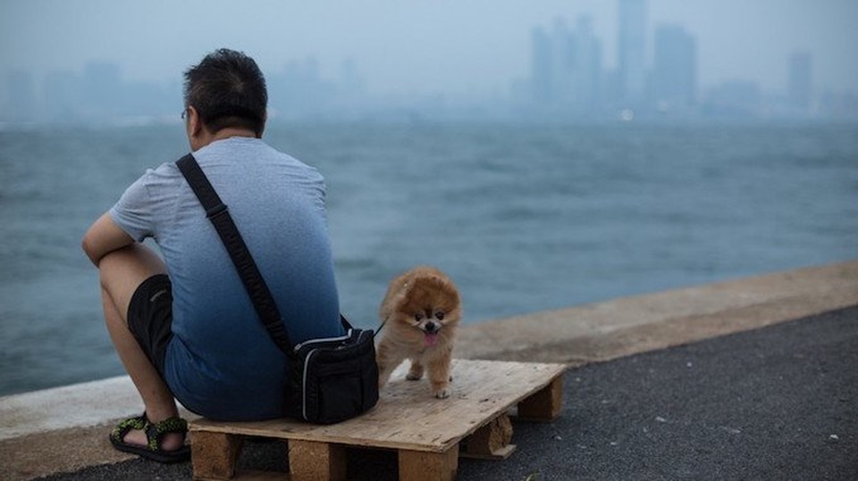 Hồng Kông thiếu nam giới trầm trọng, nữ giới lười kết hôn - 1
Người Hồng Kông quá bận rộn vì công việc nên không còn thời gian để yêu đương.