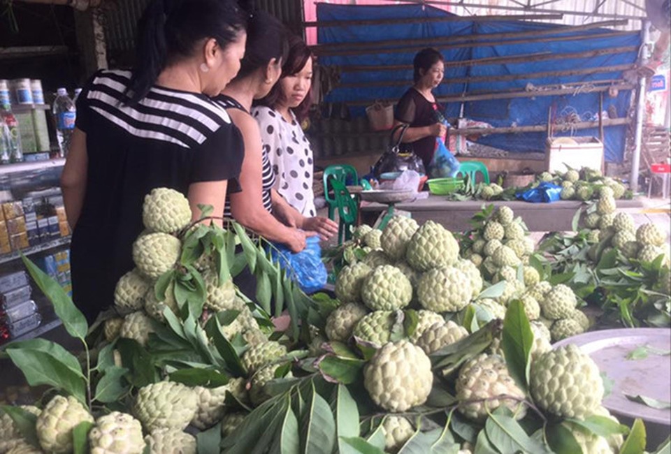 Gieo vàng trên núi - 2 Nhộn nhịp chợ na.