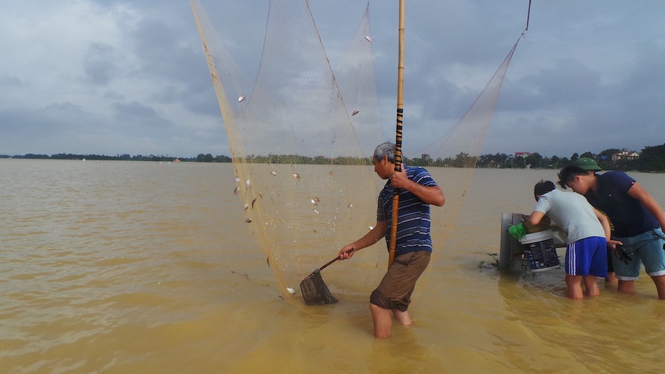 Ngoại thành Hà Nội ngập nặng, đường tỉnh lộ thành nơi... đánh cá - 8
...và bắt được khá nhiều cá nhỏ.