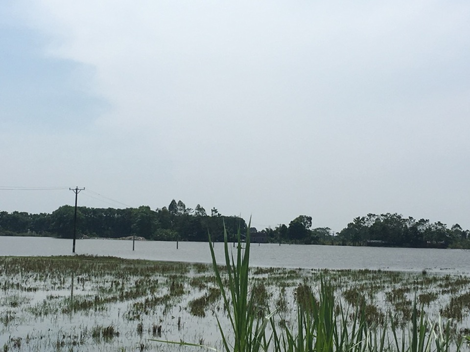 Vật lộn trong lũ chèn đá hộc, đóng cọc gia cố chân đê - 10 Nhiều vùng tại huyện Thọ Xuân vẫn mênh mông nước lũ