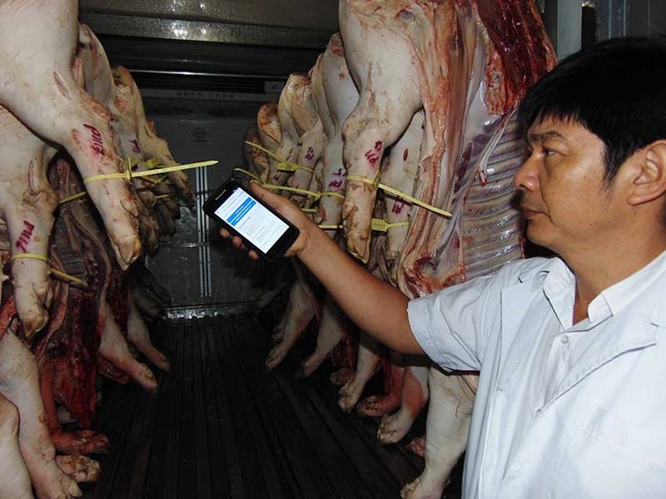 Không thể ‘soi’ thuốc an thần trong thịt heo - 1