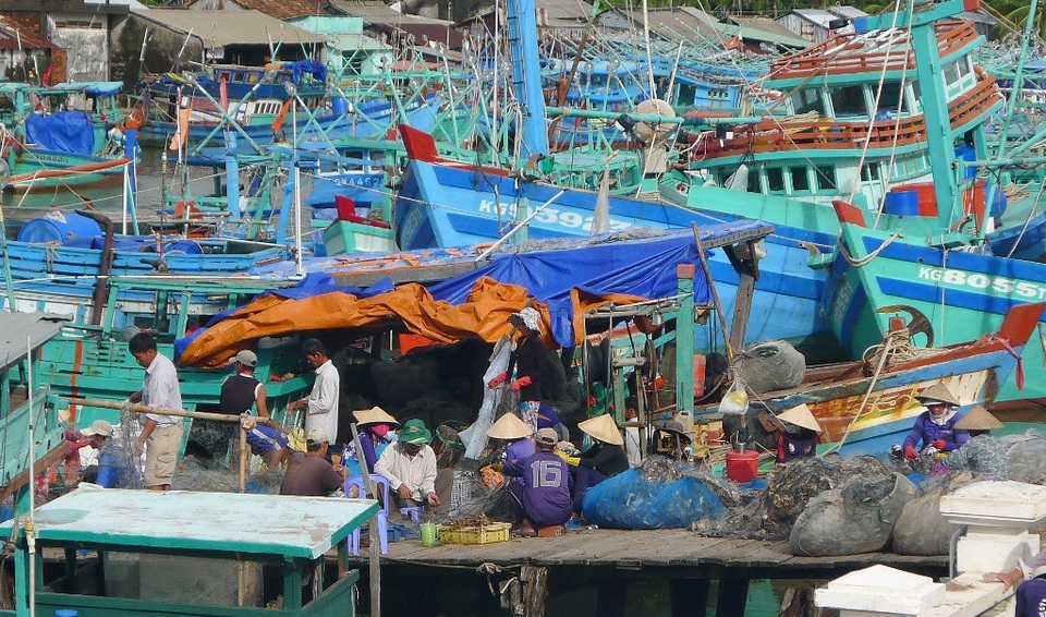 Bão số 12 đang hướng vào khu vực Nam Trung Bộ - 2 Khi tàu vào bờ trú bão, ngư dân Phú Quốc tranh thủ vá lưới, chờ ngày ra khơi