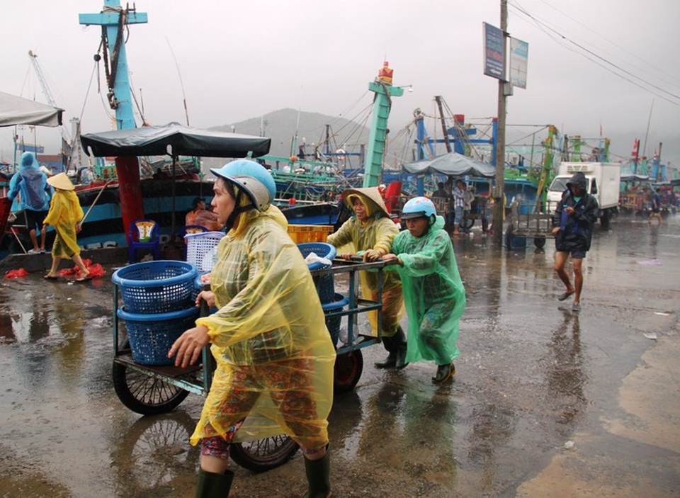Ngành chức năng tỉnh Bình Định đang kêu gọi các tàu thuyền hoạt động trên biển vào nơi tránh trú an toàn