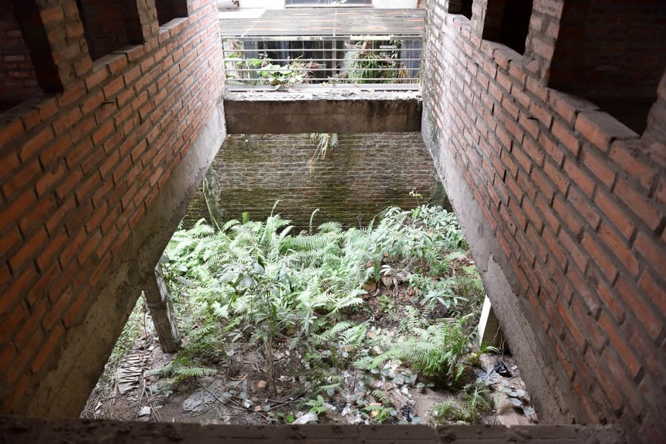 Kim tiêm ma tuý vứt đầy trong biệt thư bỏ hoang ở Hà Nội - 3 
Bên trong biệt thự, các bức tường xây thô đã phủ rêu xanh, cây cỏ dại mọc um tùm.