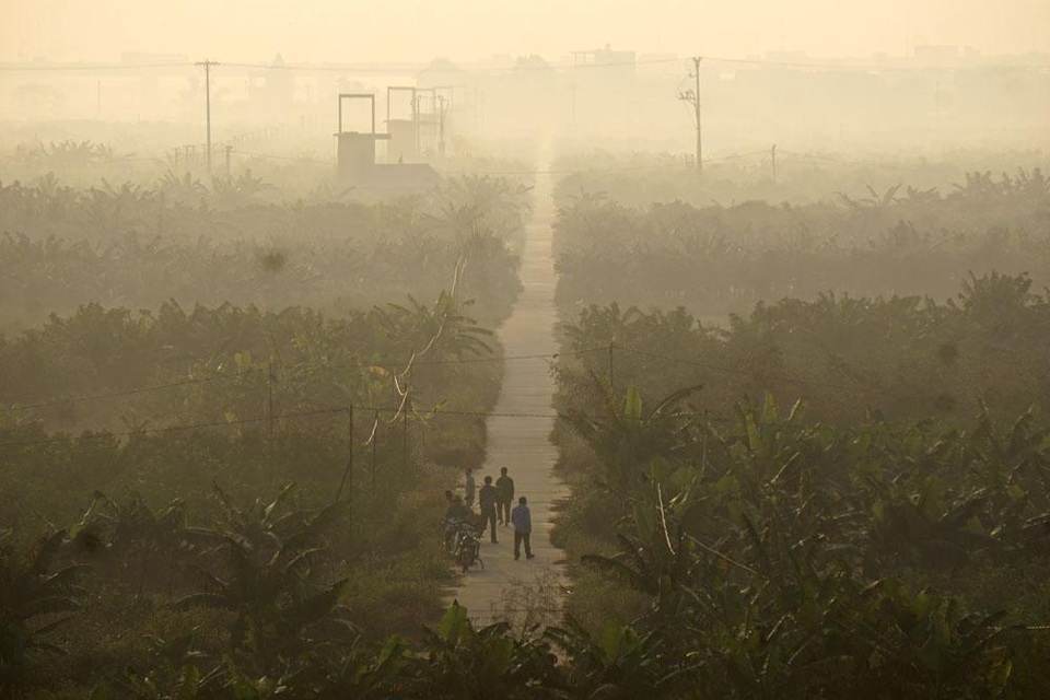 
Bình minh với sương sớm bảng lảng trên bãi sông dưới chân cầu Vĩnh Tuy, bên phía bờ tả thuộc địa phận quận Long Biên, Hà Nội.

