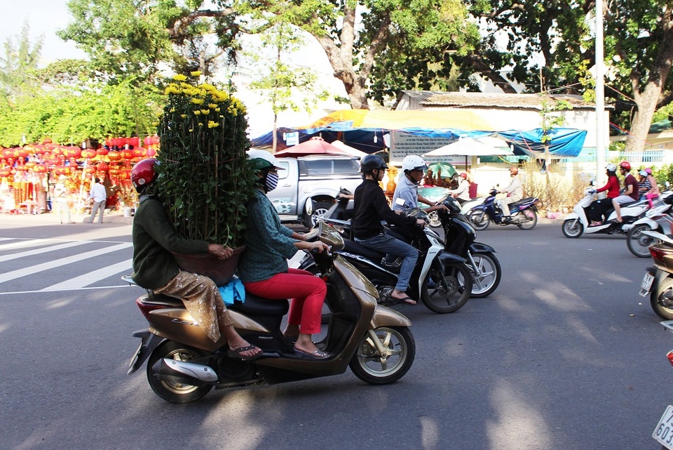 “Chen chân” sắm Tết trong phiên chợ ngày cuối năm - 9 Không thuê xe chuyên chở, 2 phụ nữ tự chở chậu hoa cúc về nhà