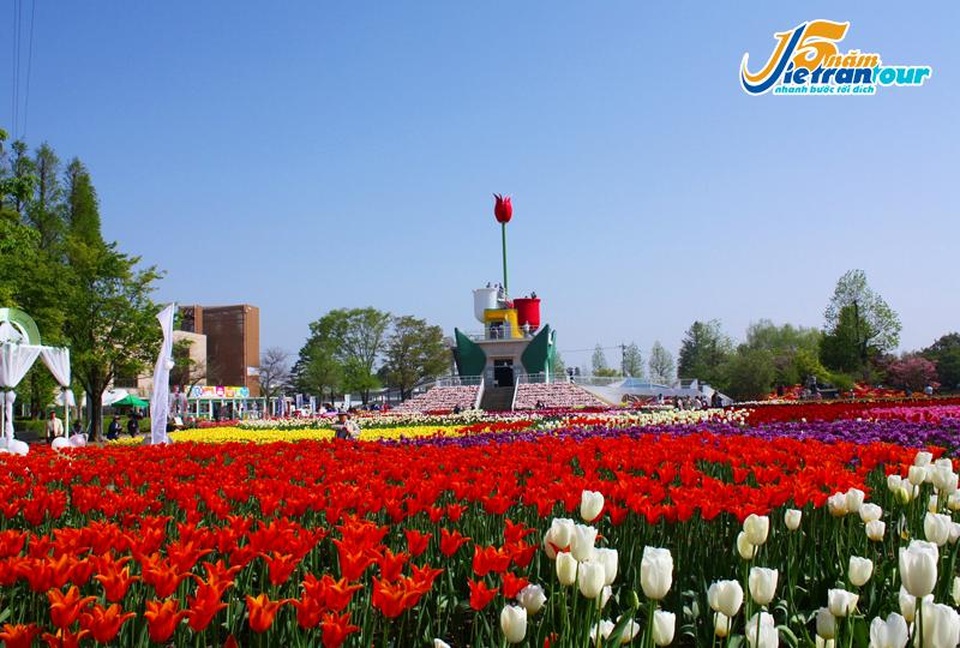 Tưng bừng ngày hội đặt tour giá đại địa chấn - 1