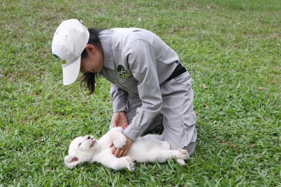Đại gia đình Vinpearl Safari Phú Quốc đón thêm thành viên mới - 1 Đại gia đình Vinpearl Safari Phú Quốc đón thêm thành viên mới - 1