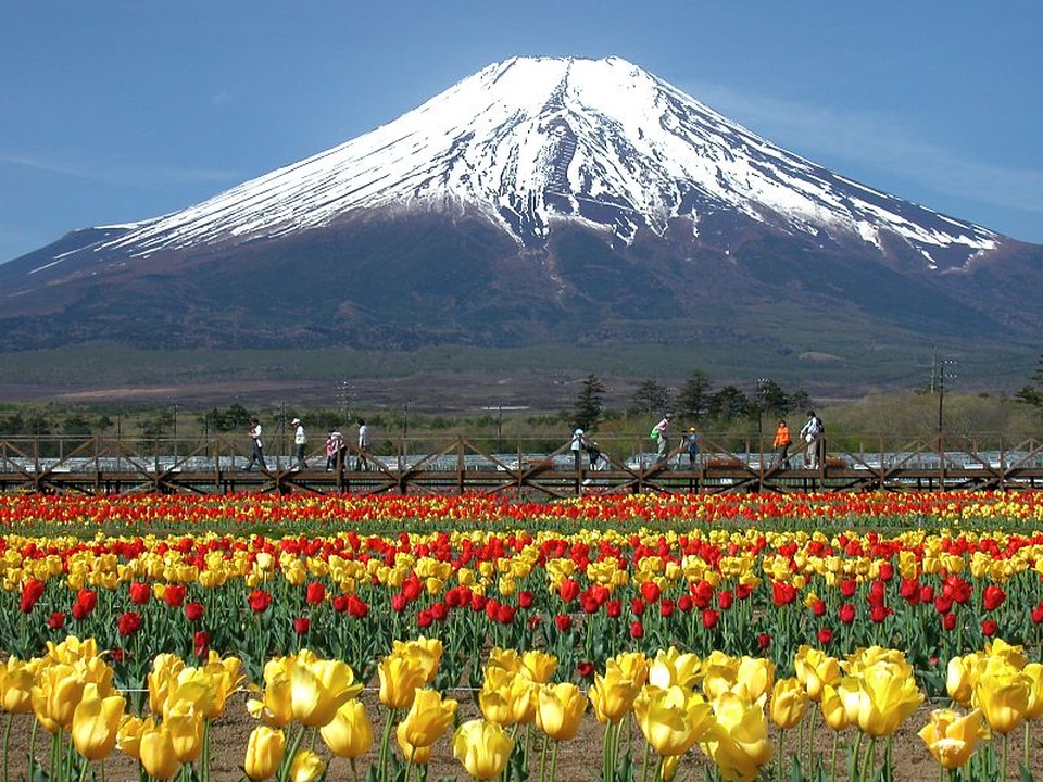 Giá tour trọn gói và những điều bạn chưa biết - 1 Giá tour trọn gói và những điều bạn chưa biết - 1