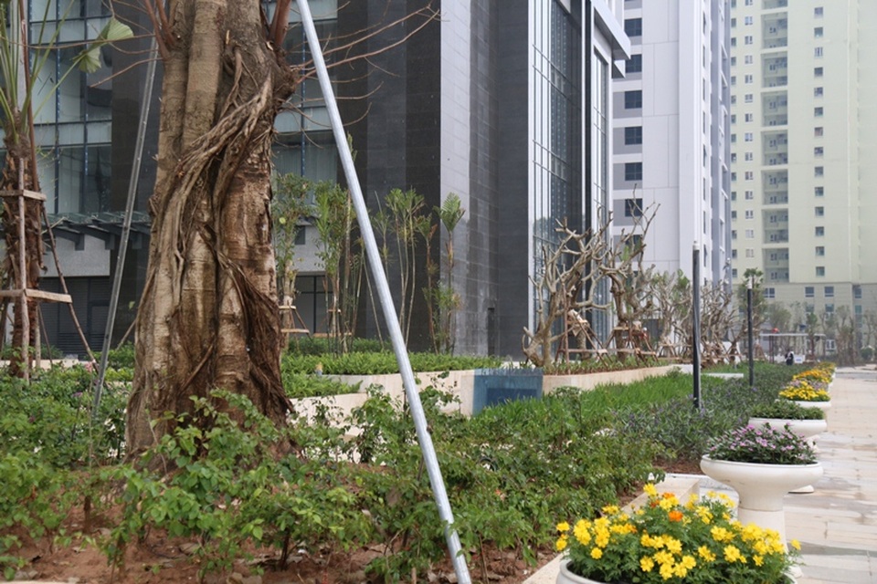 Quy hoạch giao thông tạo cú hích thị trường BĐS Tây Hà Nội - 1 Cảnh quan khu Ruby của dự án Goldmark City đang trong giai đoạn hoàn thiện.