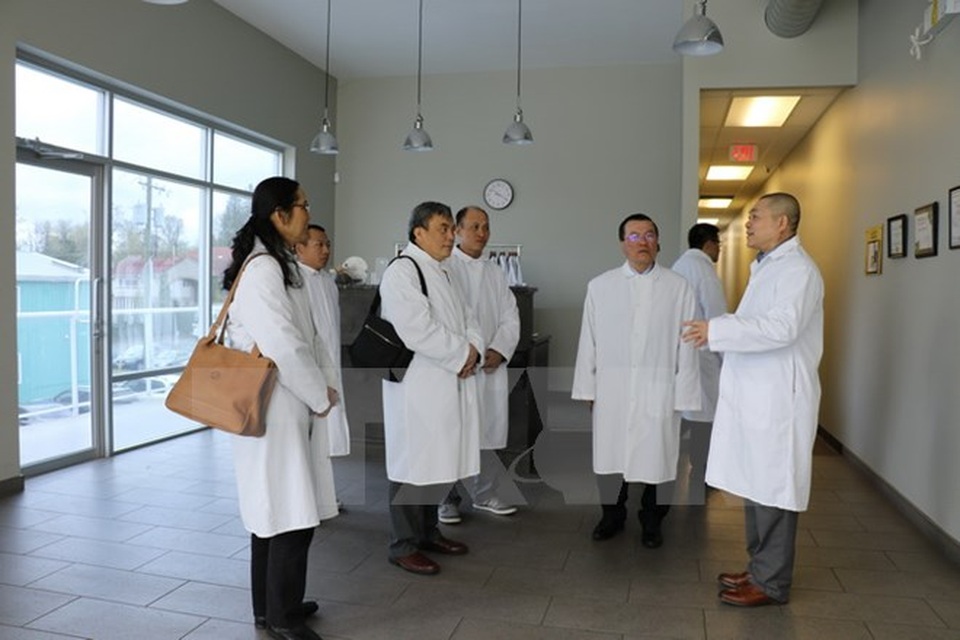 ĐSQ Việt Nam tại Canada thăm các doanh nghiệp Việt kiều tiêu biểu - 2 Đại sứ Nguyễn Đức Hòa nghe Giám đốc Công ty Champ’s Mushrooms (ngoài cùng bên phải) giới thiệu quy trình trồng nấm sạch đạt tiêu chuẩn Bắc Mỹ. (Ảnh: Thúy Hà/TTXVN)