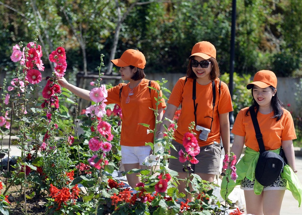 Ngỡ ngàng trước “khung trời hoa” rực rỡ, đẹp đến nao lòng - 1