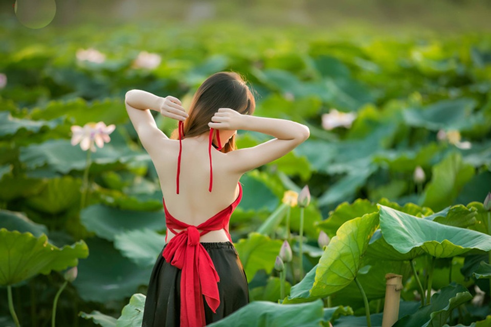 Gái trẻ buông lơi dây yếm, lả lướt khoe sắc cùng sen - 2
Áo yếm là trang phục được các cô gái chọn lựa nhiều hơn cả khi chụp ảnh cùng loài hoa tượng trưng cho vẻ đẹp thuần Việt này (ảnh: Huy Hoàng Đoàn).