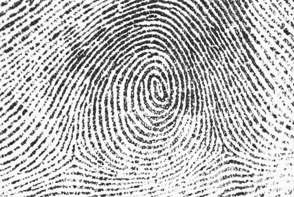 Vân tay có thể sẽ được sử dụng để thay thế thẻ lên máy bay - 1 Vân tay có thể sẽ được sử dụng để thay thế thẻ lên máy bay - 1