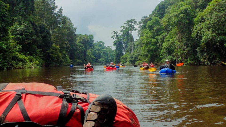 Những tour khám phá động vật hoang dã hấp dẫn nhất thế giới - 2 Những tour khám phá động vật hoang dã hấp dẫn nhất thế giới - 2
