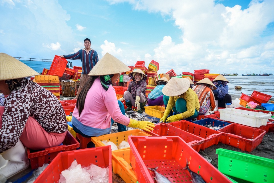 Về làng chài tỷ phú ở Vũng Tàu - 1 Về làng chài tỷ phú ở Vũng Tàu - 1