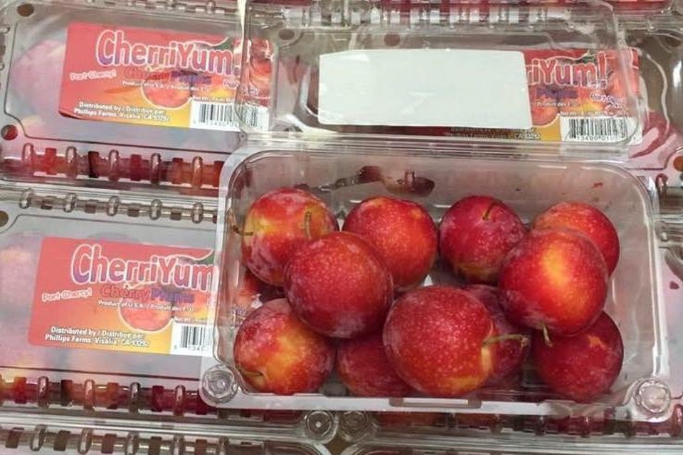 Mận Nhật - Mỹ đổ về Việt Nam: Giá gần 1 triệu đồng/kg vẫn đắt khách - 2
Dù có giá khá đắt đỏ nhưng các loại mận nhập khẩu vẫn cực kỳ hút khách