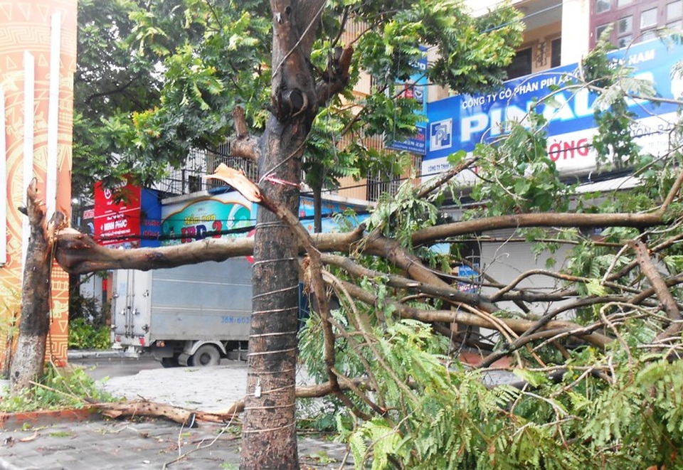 Bão quét qua, cây đổ ngổn ngang, nhiều đường bị ngập - 28 Bão quét qua, cây đổ ngổn ngang, nhiều đường bị ngập - 28