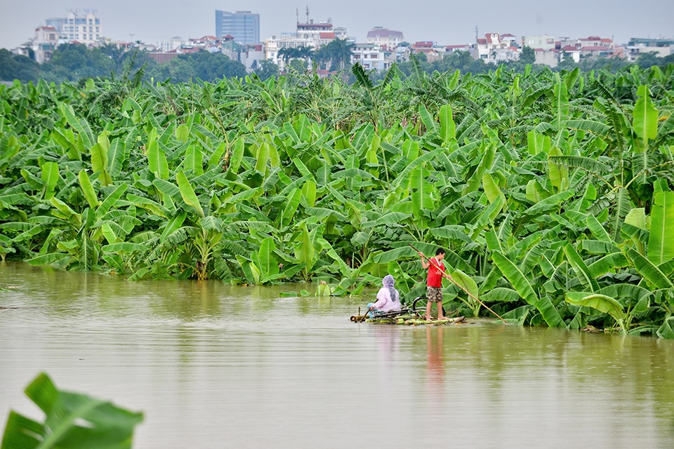 Hà Nội: Bé trai 15 tuổi đóng bè chuối đưa mẹ và chị đi chợ hàng ngày - 4
Chị em Lương trên bè chuối giữa mênh mông nước sông mùa lũ.